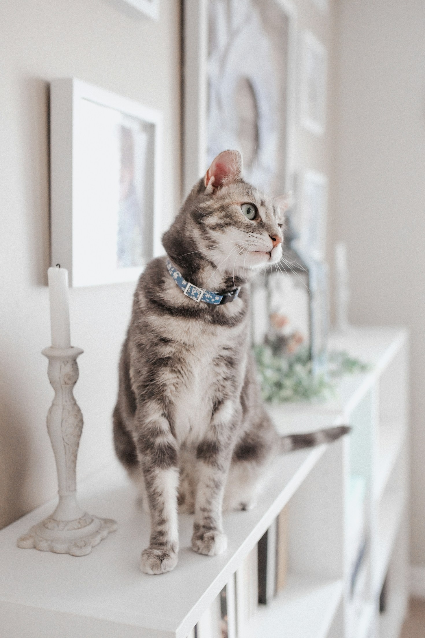 Sustainable Living: The Beauty of Curated Vintage Finds